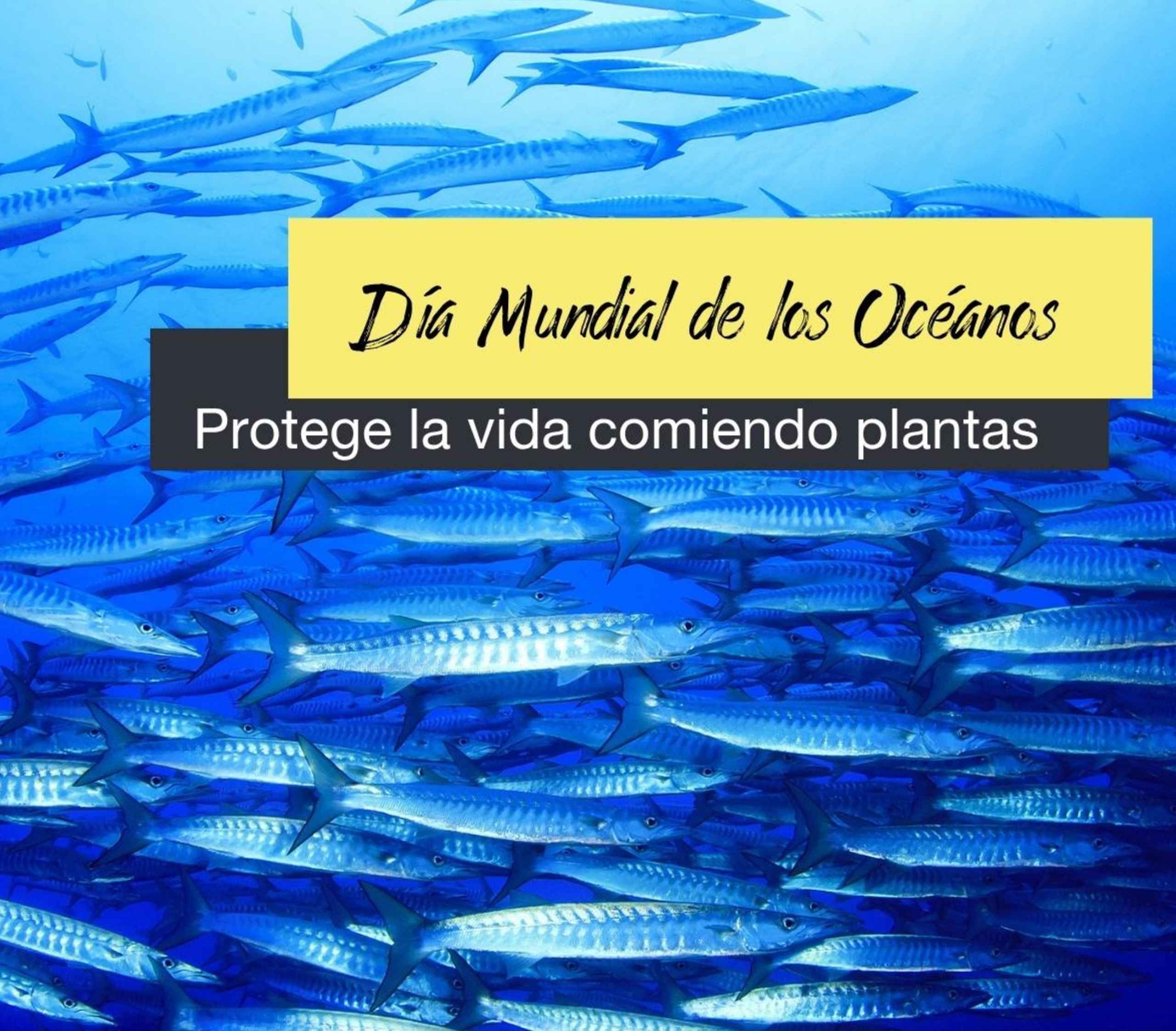 8 de junio: Protege los océanos comiendo plantas