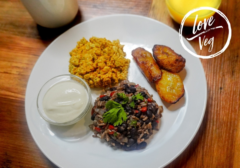 gallo-pinto-content