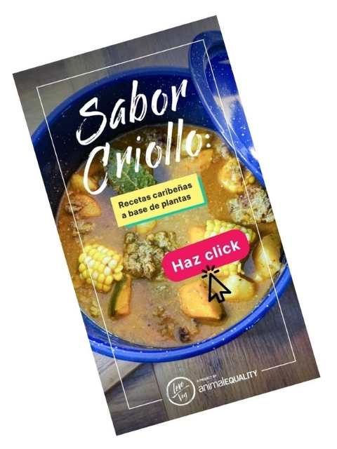 sabor-criollo-cover