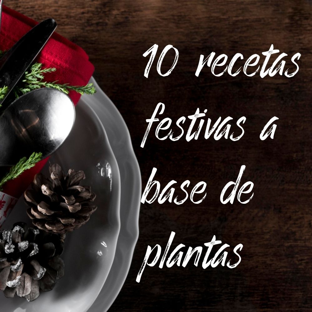 Sabores para celebrar: 10 Recetas festivas a base de plantas