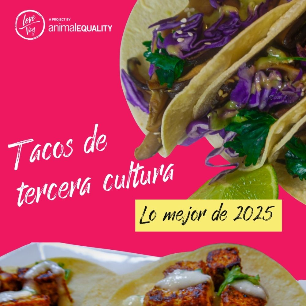 Lo mejor de 2025: Tacos de tercera cultura