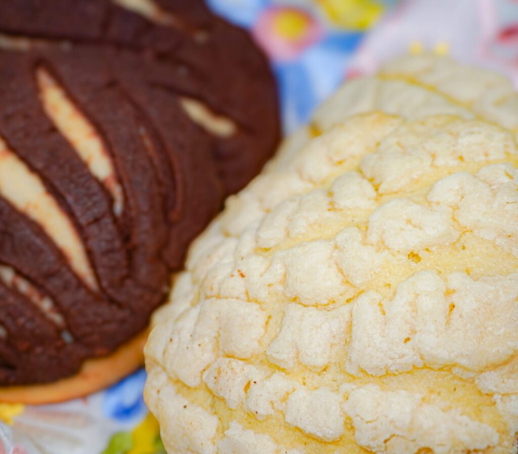 Conchas veganas